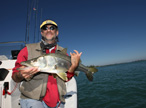 SNOOK 36 INCH