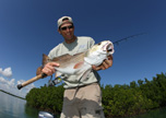 REDFISH