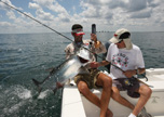 55lb. Tarpon