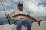 AMBERJACK