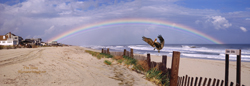 Rainbow Beach